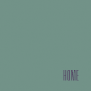 home button