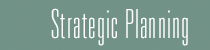 Strategic Planning button