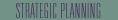 Strategic Planning Button