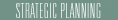 Strategic Planning Button