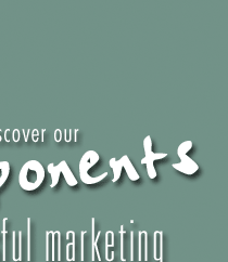 6 components